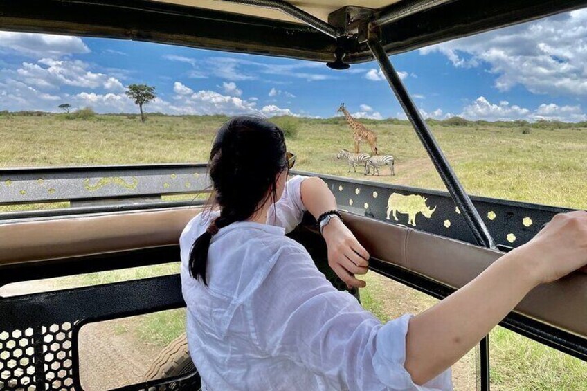 African Wildlife & Nature - 5 Kenya national parks - 6 day Jeep Safari