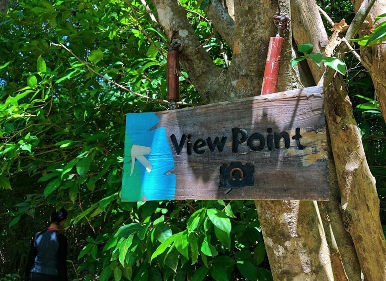 Picture 12 for Activity From Phuket: Coral Island Private Longtail Boat Tour