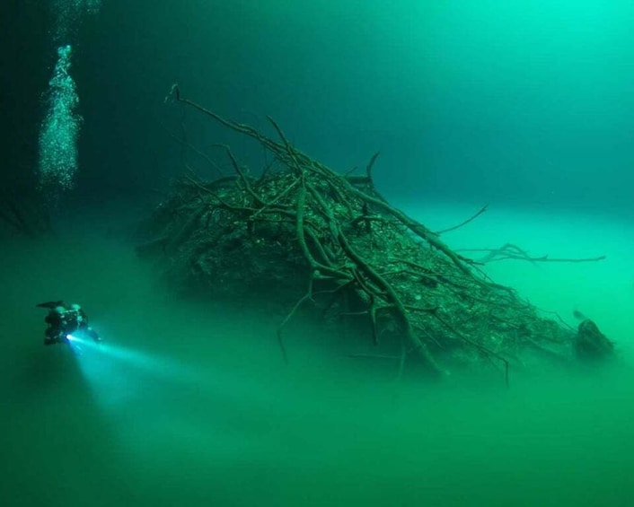 Picture 3 for Activity Tulum : Scuba in 2 cenotes including a deep one Pit Dos Ojos