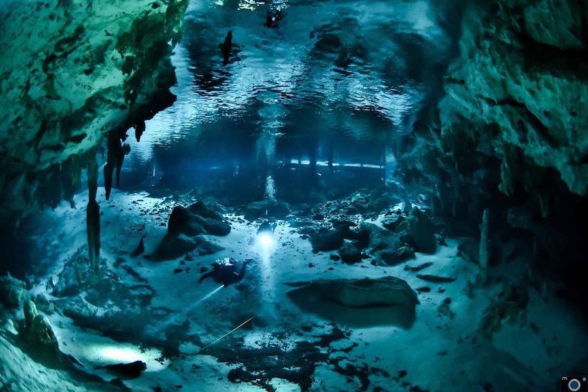 Picture 1 for Activity Tulum : Scuba in 2 cenotes including a deep one Pit Dos Ojos