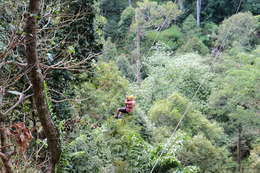 Picture 5 for Activity Phuket: Paradise Jungle Zipline Adventure