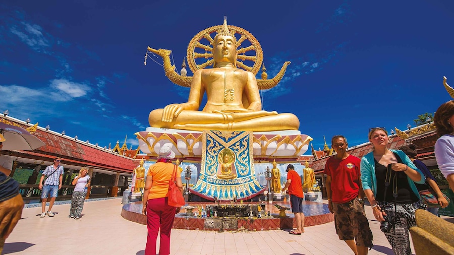 Picture 1 for Activity Koh Samui: Half-Day Island Highlights Tour with Hotel Pickup
