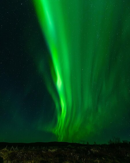 Picture 6 for Activity Experience the majestic Auroras Kiruna-Abisko & Tipi Dinner