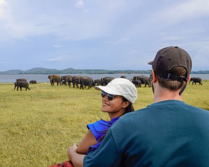 Picture 2 for Activity Minneriya National Park Half Day Sri Lanka Jeep Safari