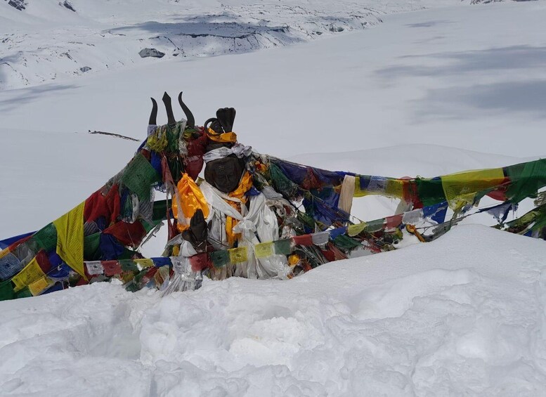 Picture 1 for Activity From Pokhara: 7 Days Annapurna Basecamp Trek
