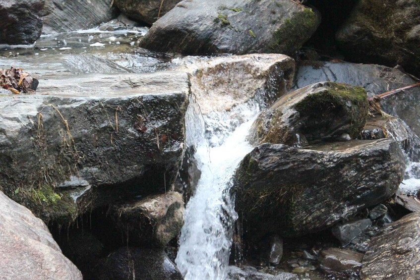 Picture 10 for Activity From Pokhara: 7 Days Annapurna Basecamp Trek