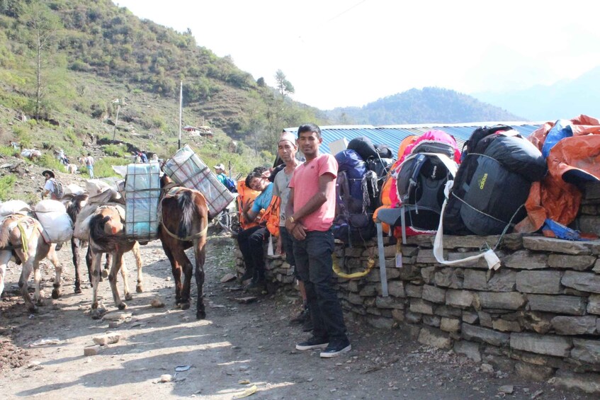 Picture 7 for Activity From Pokhara: 7 Days Annapurna Basecamp Trek