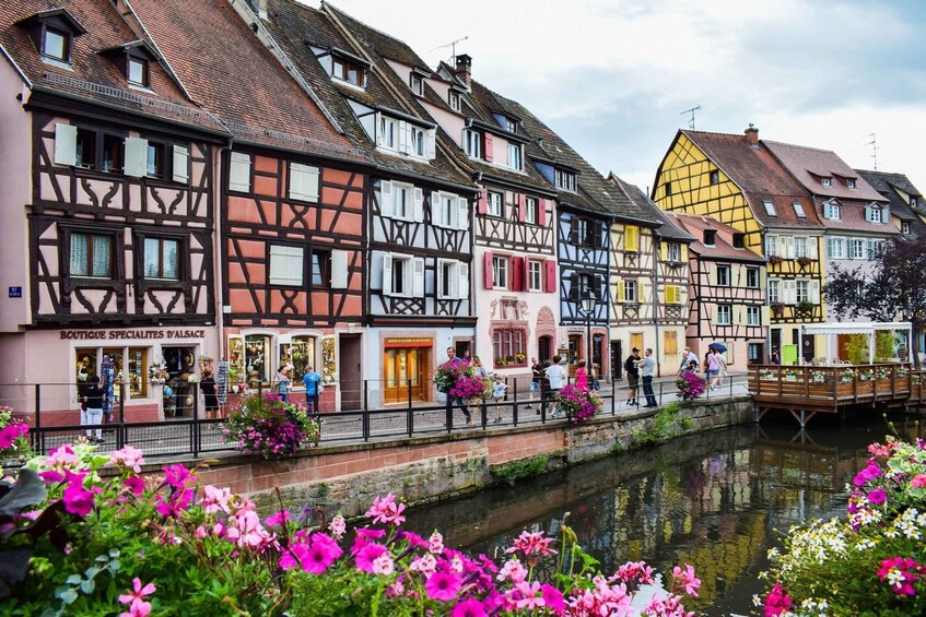 Colmar: Private Guided Walking Tour