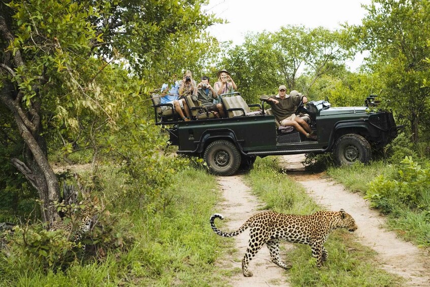 Picture 3 for Activity Wilpattu National Park Safari Tour from Kandy