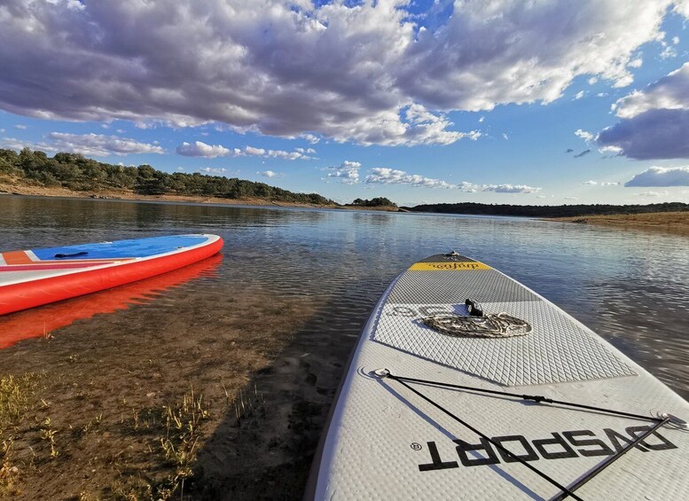 Picture 4 for Activity Extremadura: Paddle Surf Guided Tour on Valdecañas Reservoir