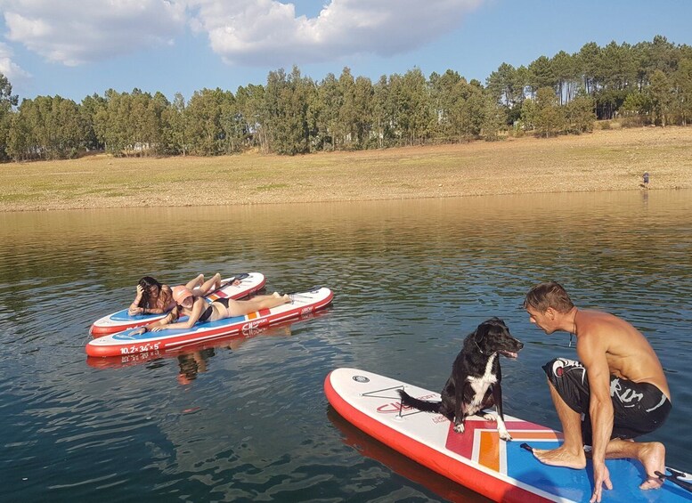 Picture 3 for Activity Extremadura: Paddle Surf Guided Tour on Valdecañas Reservoir