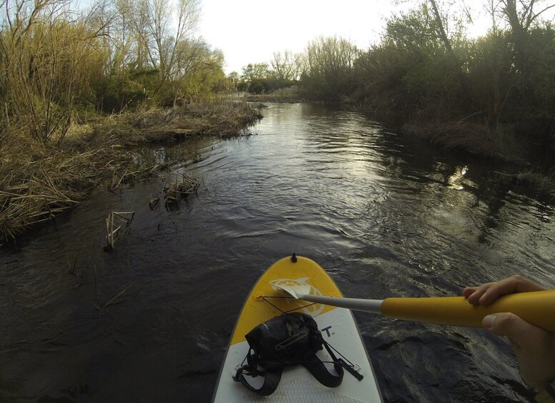 Picture 5 for Activity Extremadura: Paddle Surf Guided Tour on Valdecañas Reservoir