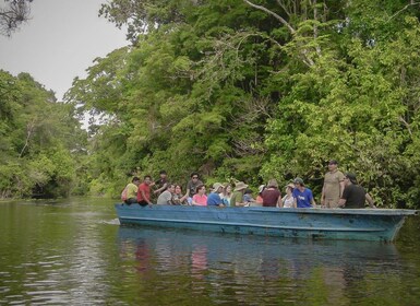 De Iquitos : Visite guidée d’exploration de la faune de l’Amazonie de 4 jou...