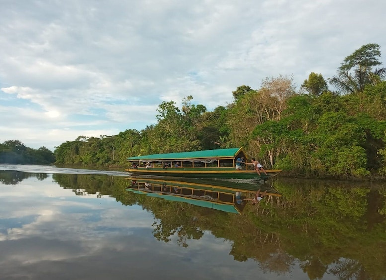 Picture 10 for Activity From Iquitos: 4-Day Guided Amazon Wildlife Exploration Tour