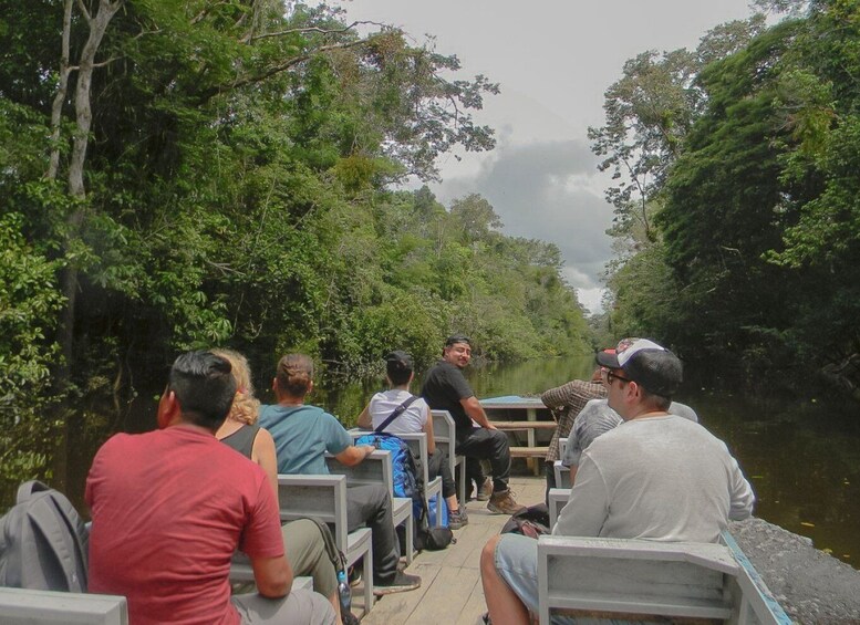 Picture 1 for Activity From Iquitos: 4-Day Guided Amazon Wildlife Exploration Tour