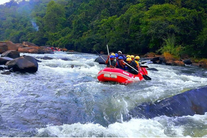 Picture 1 for Activity From Negombo: Kithulgala Rapids Adventure!