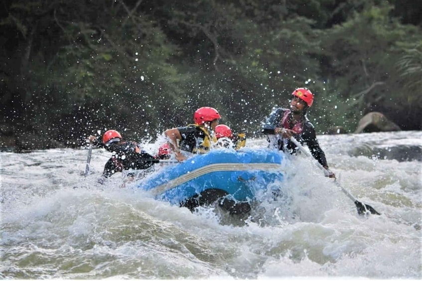 Picture 4 for Activity From Negombo: Kithulgala Rapids Adventure!