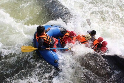 Desde Negombo: aventura de rafting en aguas bravas en Kithulgala