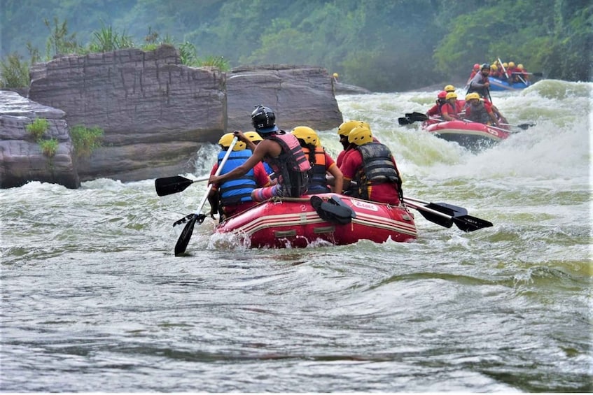 Picture 2 for Activity From Negombo: Kithulgala Rapids Adventure!