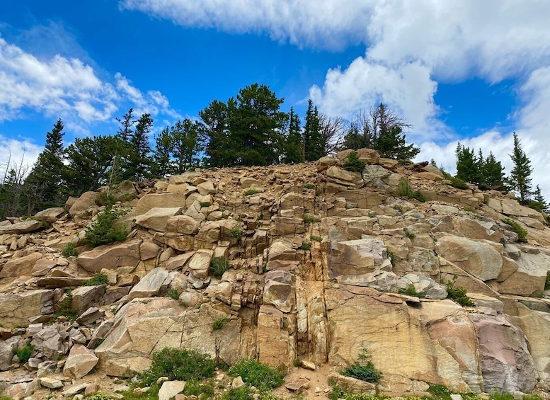 Picture 15 for Activity From Denver: Rocky Mountain National Park Day Trip and Lunch