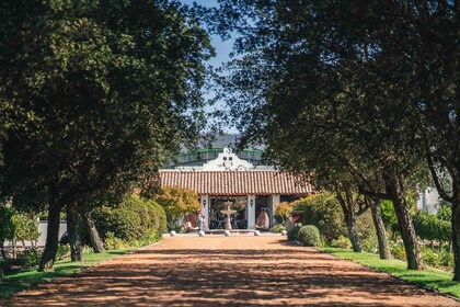 Tour Privado Valparaíso y Valle de Casablanca