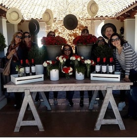 Tour Privado Valparaiso & Casablanca Valley