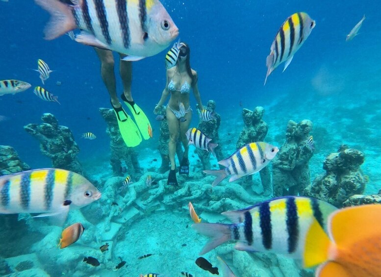 Picture 1 for Activity Gili Islands: 3 Islands Snorkeling Tour with Gopro