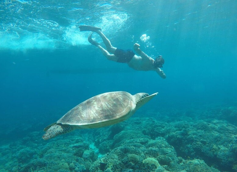 Gili Islands: 3 Islands Snorkeling Tour with Gopro