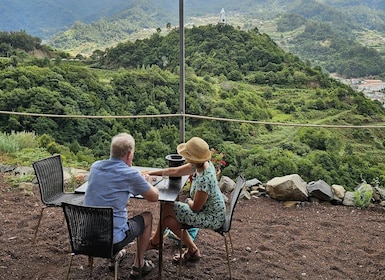 Madeira: Vingårdstur med vinsmagning og skywalk