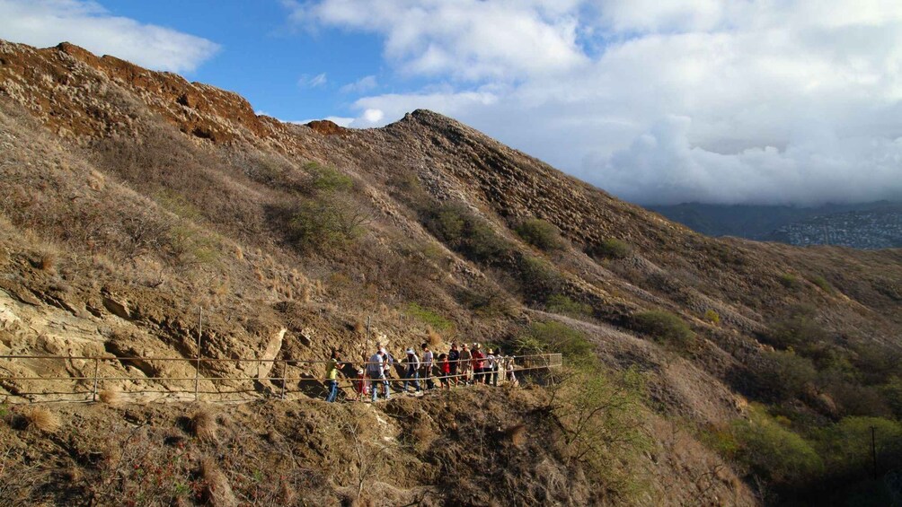 Picture 5 for Activity Diamond Head Manoa Falls