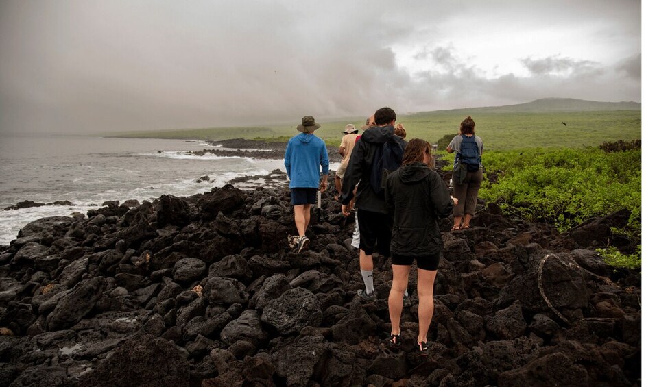 Picture 12 for Activity Full Day Leon Dormido and Lobos Island Tour