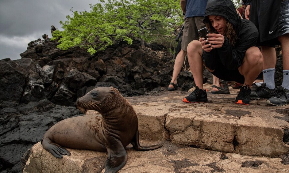 Picture 1 for Activity Full Day Leon Dormido and Lobos Island Tour