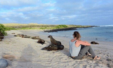 Full Day Leon Dormido and Lobos Island Tour