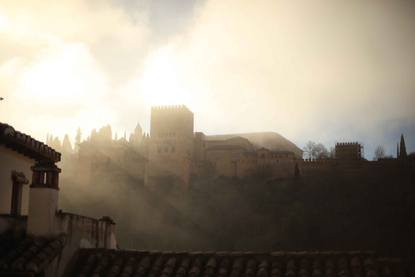 Picture 4 for Activity Granada: Highlights & Viewpoints eBike Tour with Tapas Break