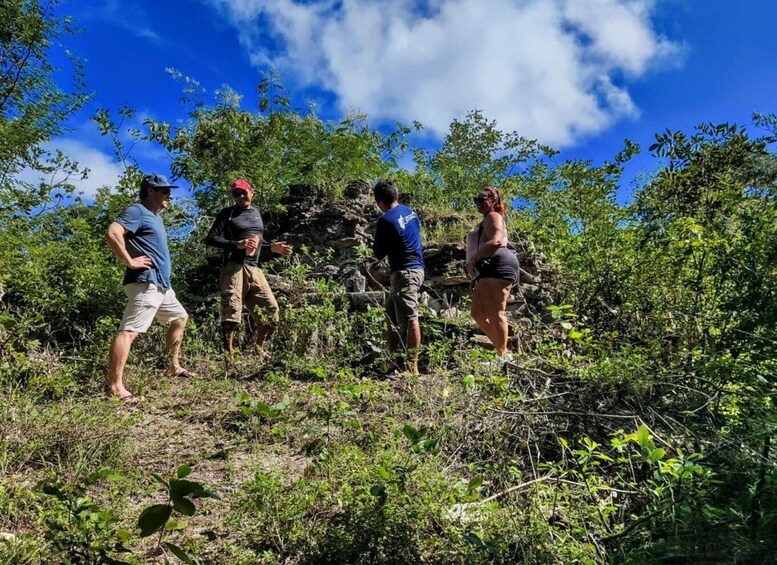 Picture 7 for Activity Cozumel: Private Caves and Ruins Tour with Mexican Lunch