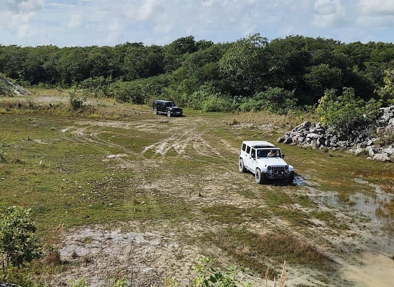Picture 2 for Activity Cozumel: Private Caves and Ruins Jeep Tour with Picnic