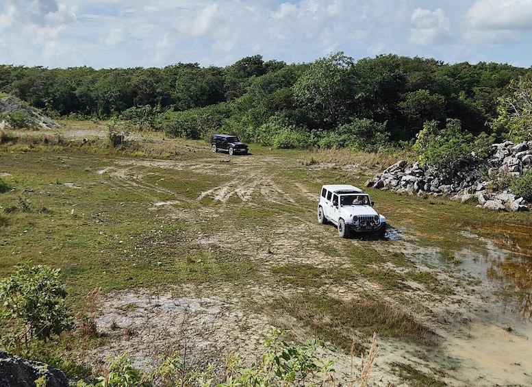 Picture 2 for Activity Cozumel: Private Caves and Ruins Tour with Mexican Lunch