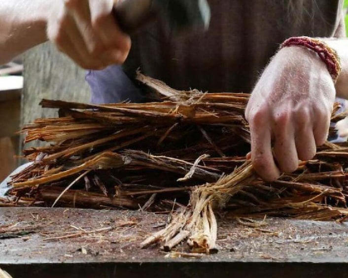 Picture 1 for Activity Iquitos: Healing treatment with Ayahuasca | 1 ceremony