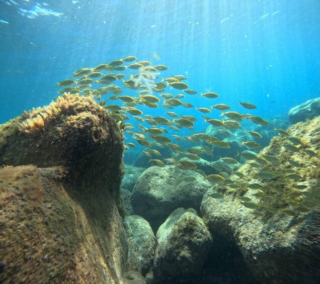 Picture 1 for Activity Gran Canaria: Snorkel tour with boat on the west coast