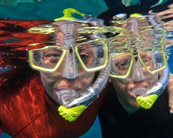 Gran Canaria: Snorkel tour with boat on the west coast