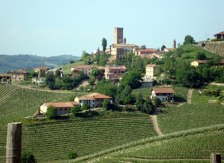 Picture 2 for Activity From Turin: Barolo & Barbaresco Tasting Tour