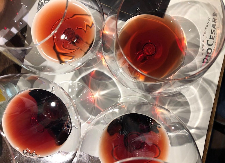 From Turin: Barolo & Barbaresco Tasting Tour