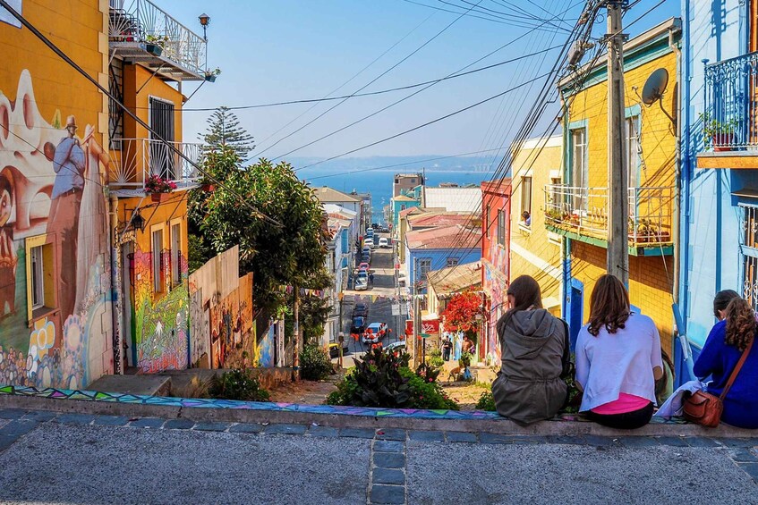 Picture 1 for Activity From Santiago: Vineyard, Valparaíso, and Viña del Mar Tour