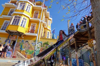 De Santiago : Vineyard, Valparaíso et Viña del Mar Tour