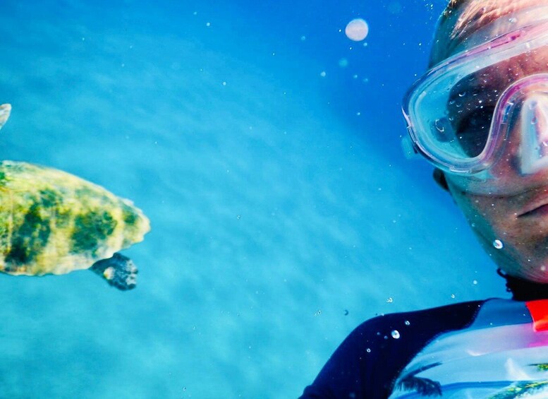 Picture 6 for Activity From Milopotas: Ios Island Scenic Snorkeling Cruise