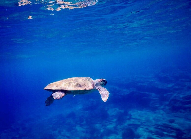 Picture 5 for Activity From Milopotas: Ios Island Scenic Snorkeling Cruise