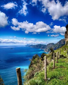 Depuis Sorrente : Randonnée guidée sur le sentier des Dieux avec transfert