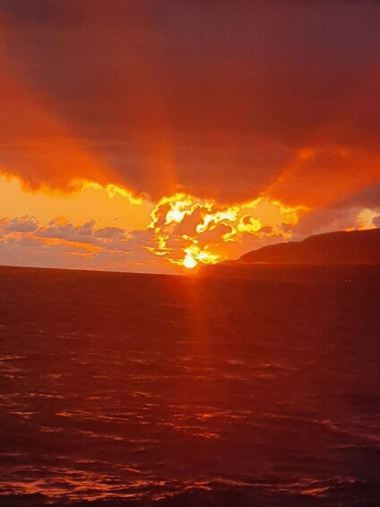 Picture 4 for Activity Funchal: Thrilling Speedboat tour - Madeira sparkling waters