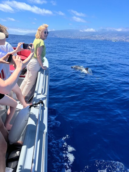 Picture 13 for Activity Funchal: Thrilling Speedboat tour - Madeira sparkling waters