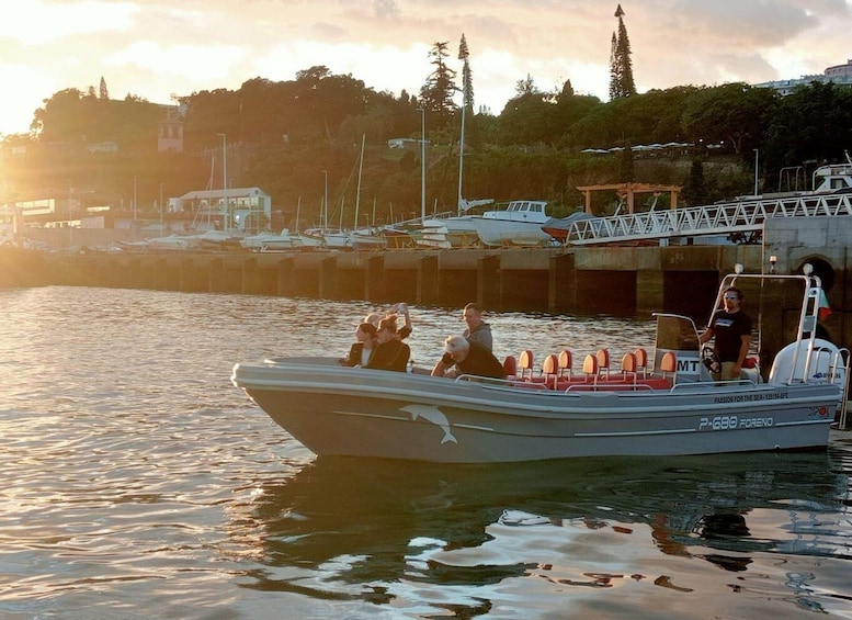 Picture 16 for Activity Funchal: Thrilling Speedboat tour - Madeira sparkling waters